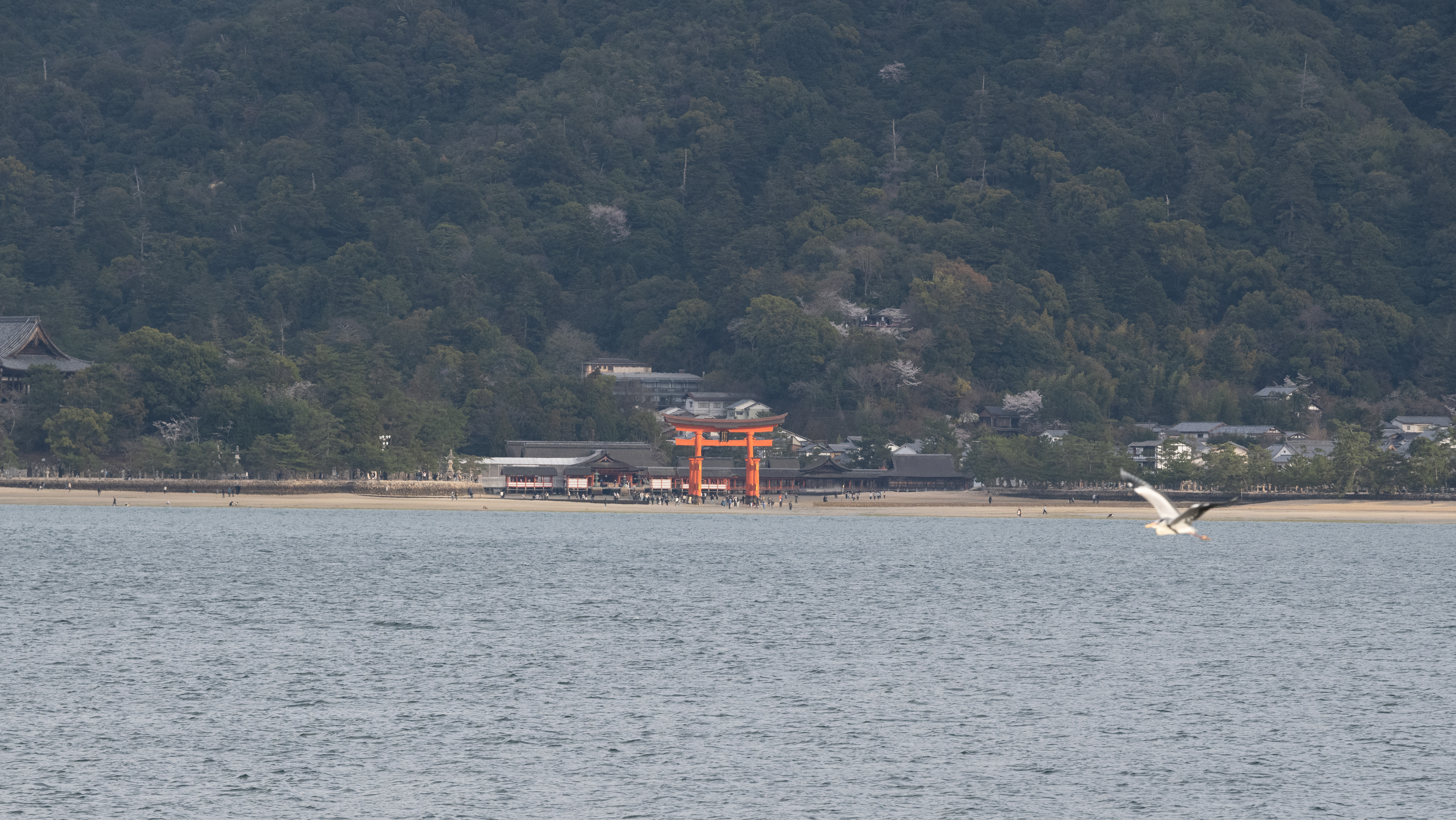 広島県写真